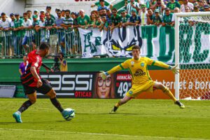 Tiepo - Rafael Bressan - ACF