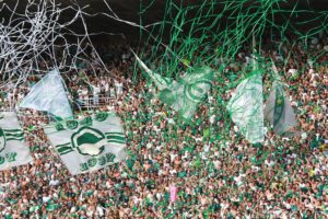 Torcida Goiás - Rosiron Rodrigues-Goiás E.C. - Os seis times com mais acessos à Série A