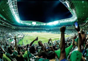 Palmeiras Divulgação_Easy-Resize.com