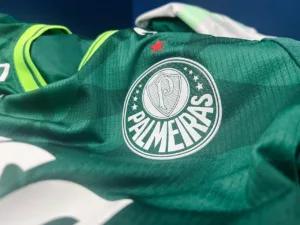 Rival Santos - Foto Divulgação Palmeiras_Easy-Resize.com