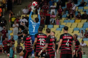 Clubes mais valiosos do Brasil - Foto Paula Reis Flamengo Resize.com