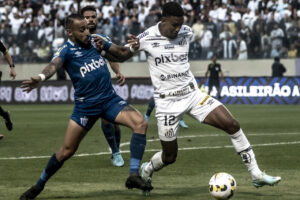 Avaí Santos palpite - Foto Ivan Storti Santos (2)